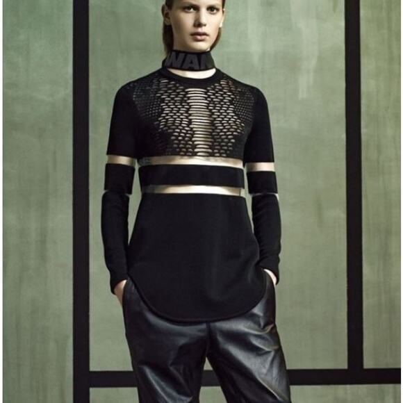 Alexander Wang + H&M  Viscose Black Sheer Mesh Long Sleeve Top  XS - Picture 1 of 10
